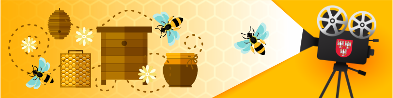 Grafika z kamerą, ulem, miodem i pszczołami
