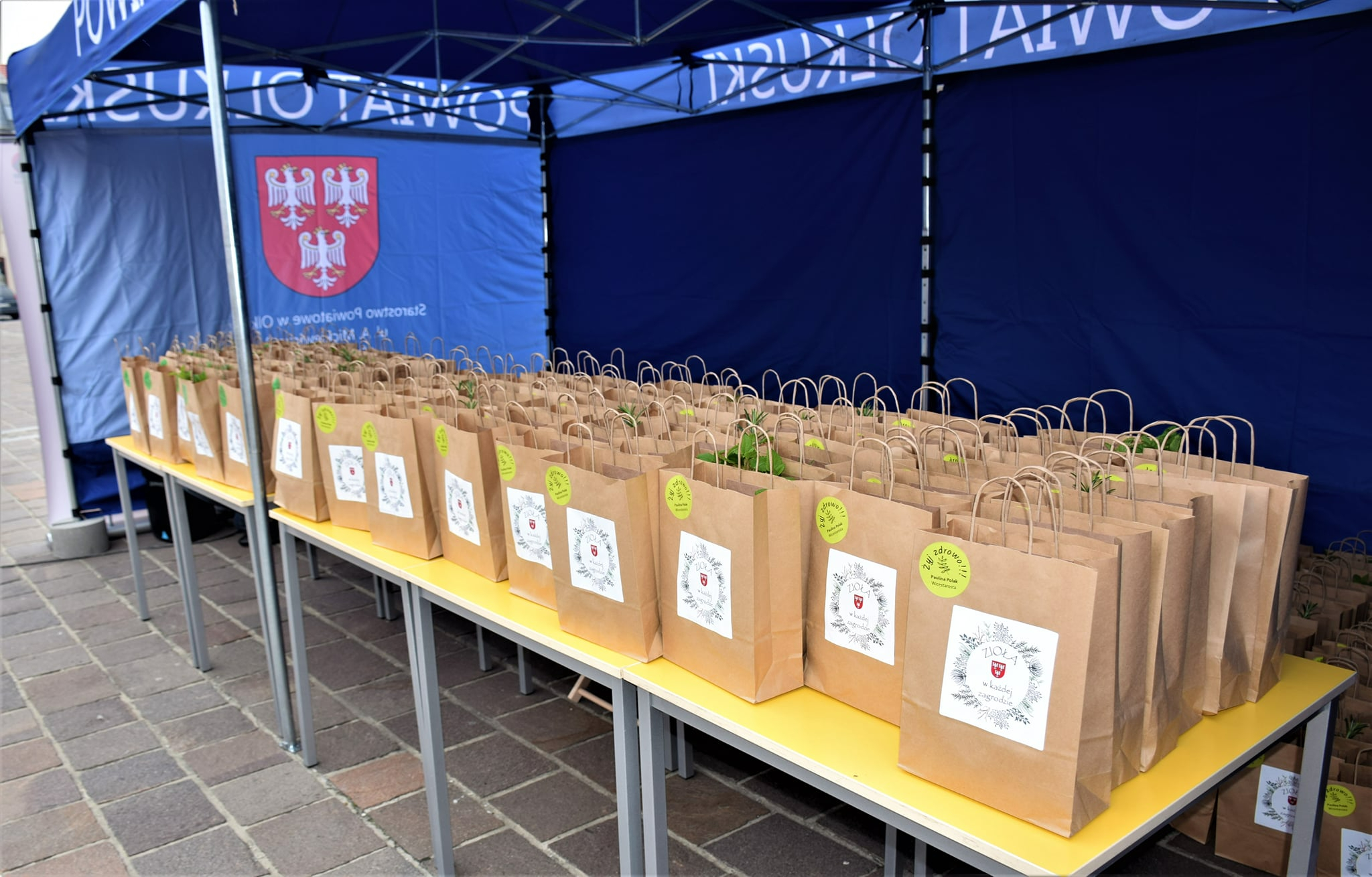 Pakiety ziół w namiocie powiatu olkuskiego